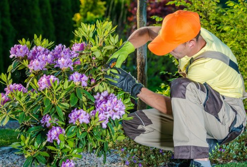Healthy trimmed hedges enhancing Cleaners NW5 property