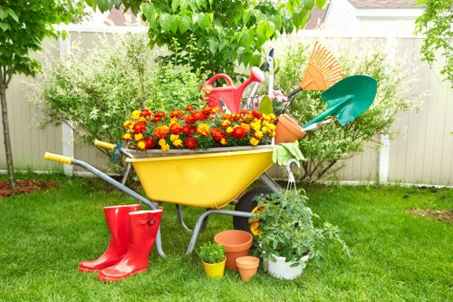 Electric lawn mower with green grass background